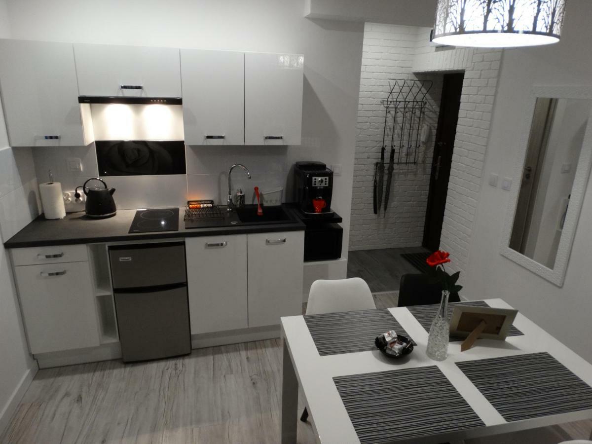 Apartament "Eli" Stary Toruń Esterno foto